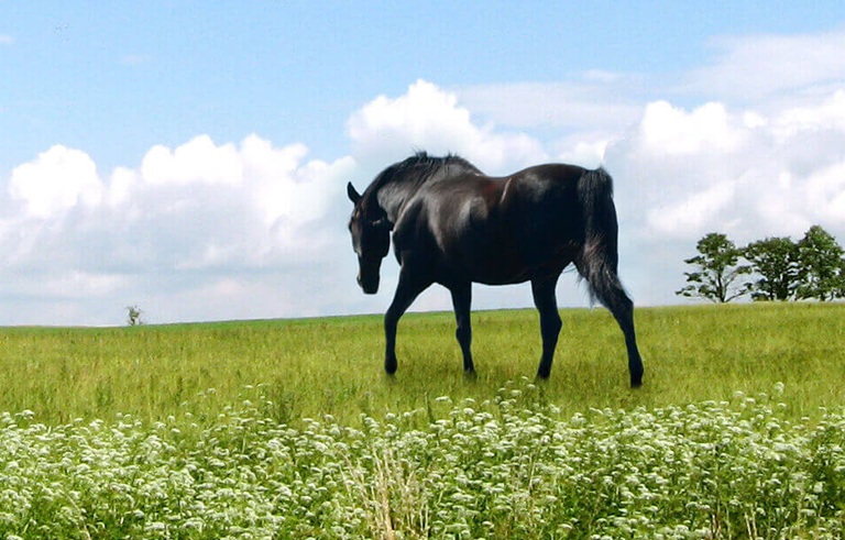 int.hac pääkuva_cropped